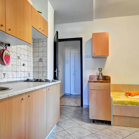 Apartman Igor Big 普莱曼图拉