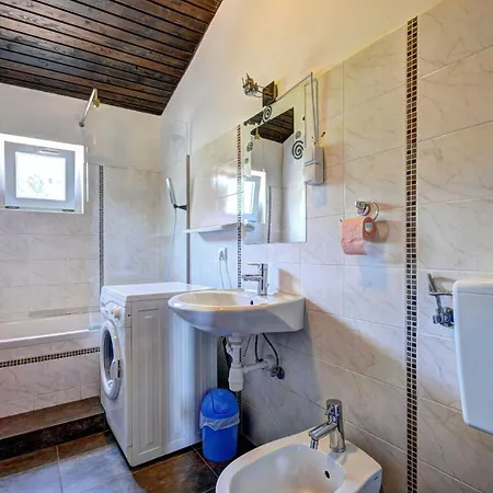 Apartman Igor Big *
